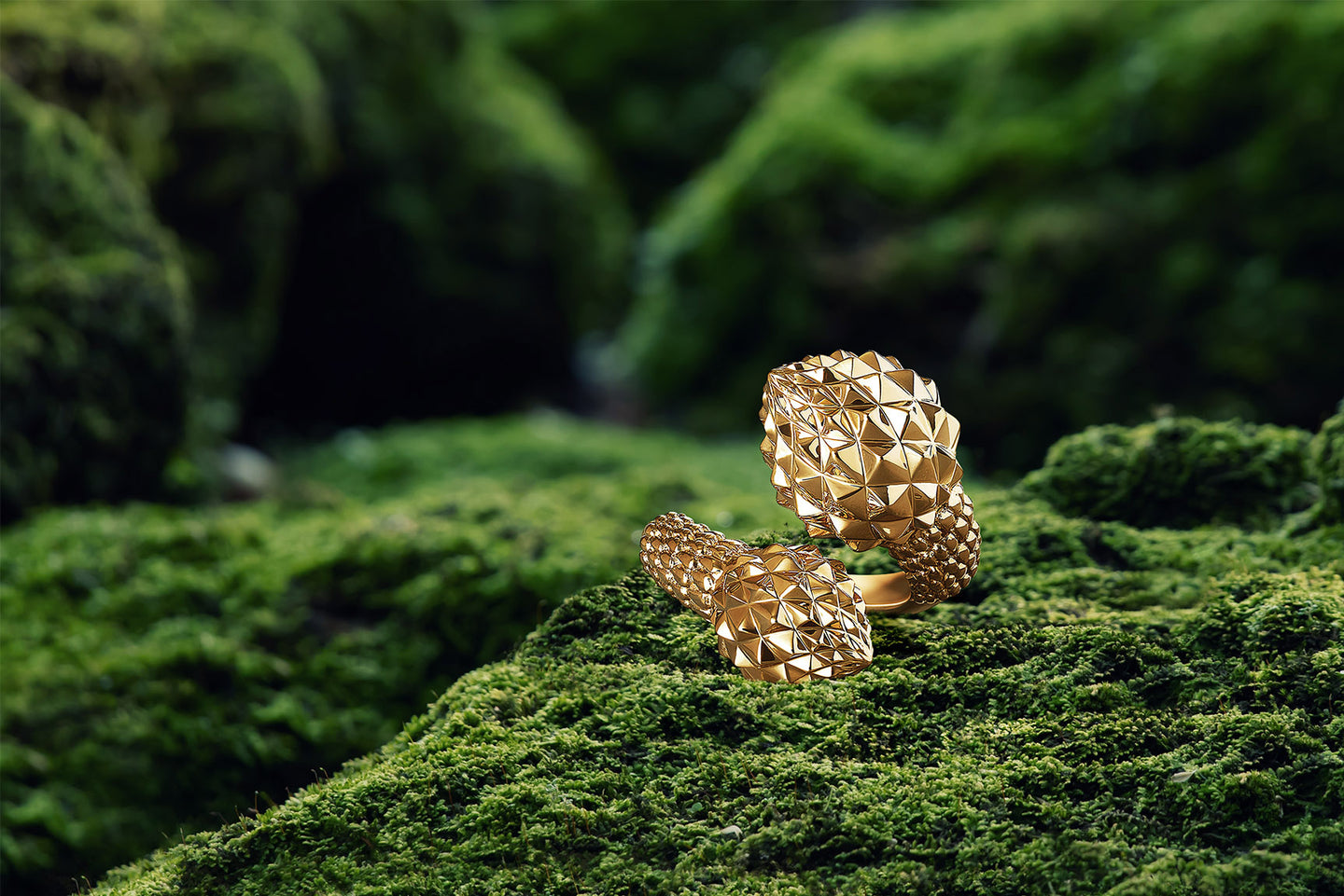 Unique Pinecone Collection