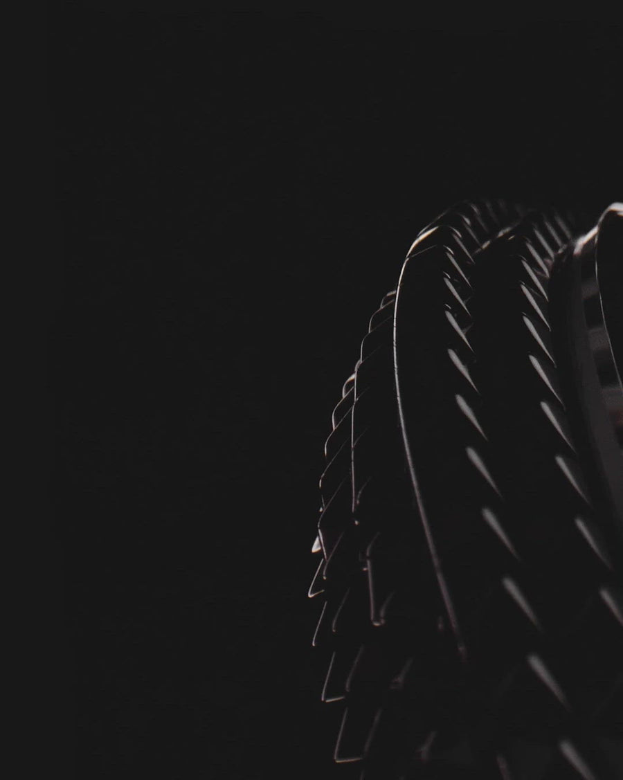 Avantgarde Pinecone Black DLC Solid Gold Watch